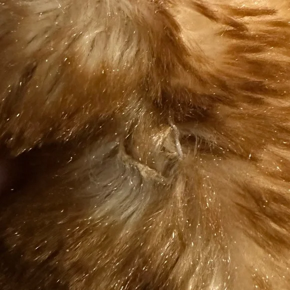 RESERVED CJROMB - Picture 4 of 4